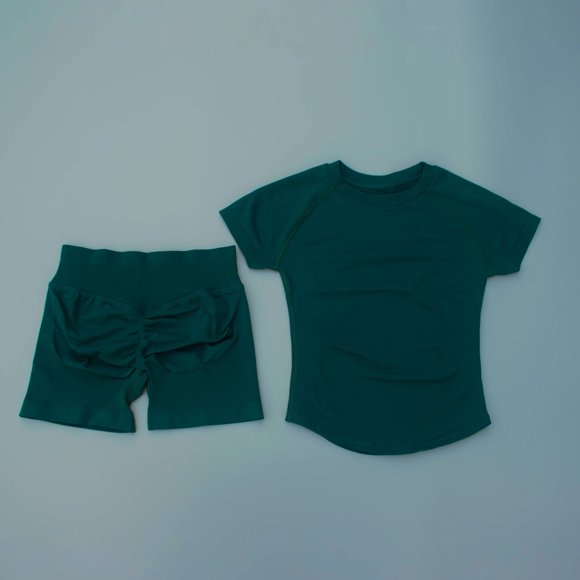 Women 2 Piece Seamless Yoga Set Short Sleeve T-Shirt Curved Hem Ruched Booty Shorts Gym Fitness Suit Matching Activewear Outfits